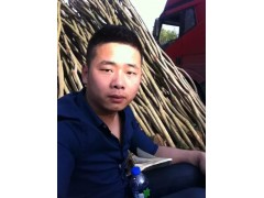 2-15公分乌桕树|乌桕树图3