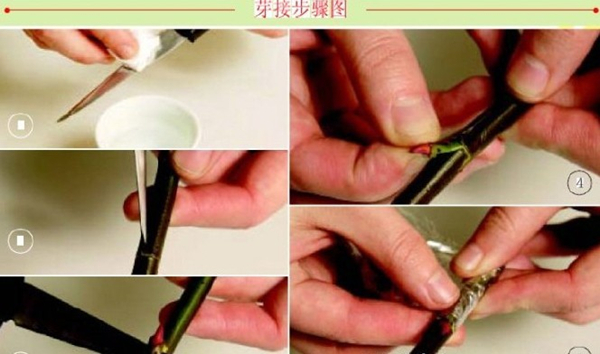 接技