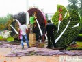 山东：济宁城区40余万株鲜花双节争艳 6处立体造型将亮相