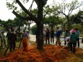怎样种活新购苗木相关栽植技术讲解