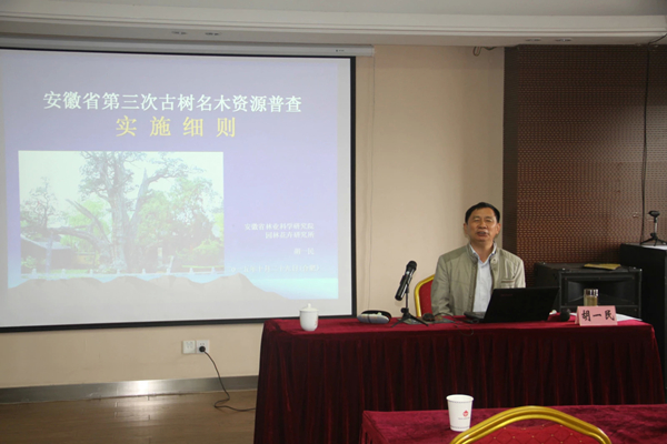 胡一民教授 胡一民教授