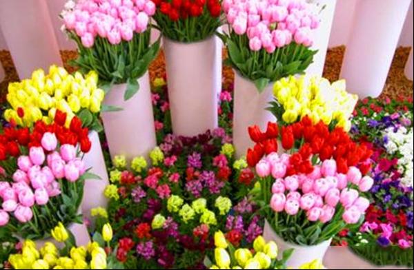 鲜花如何保鲜