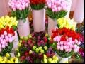 如何给鲜花保鲜