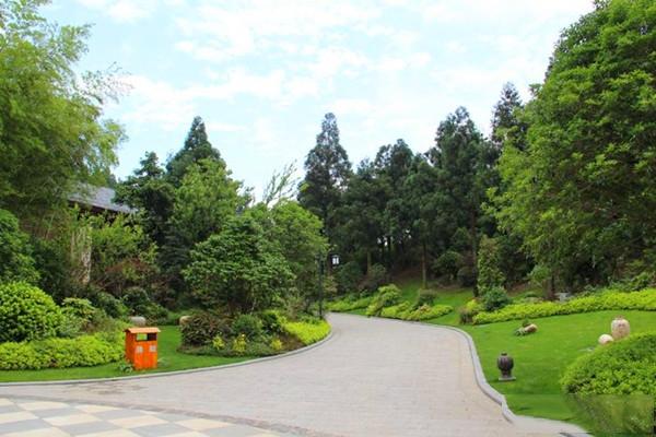浙江园林植物造景实现树种多样性的设想