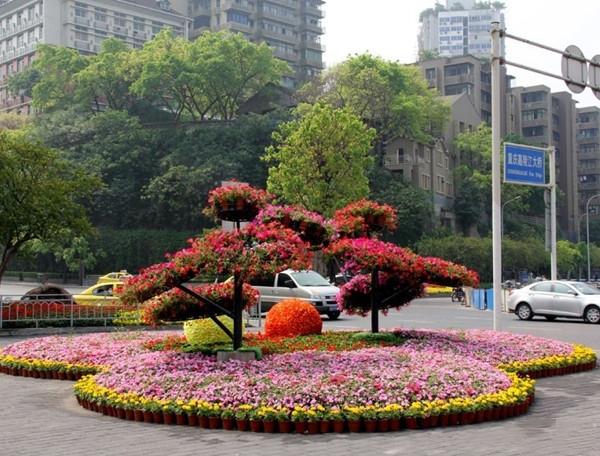 花坛设计
