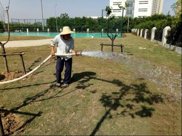 炎炎夏日如何科学合理给园林植物浇水