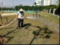 炎炎夏日如何科学合理给园林植物浇水