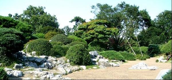 变—植物的大小