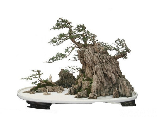 盆景流派主要有山水盆景与树桩盆景两大类别