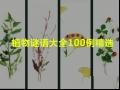 植物谜语大全100例精选