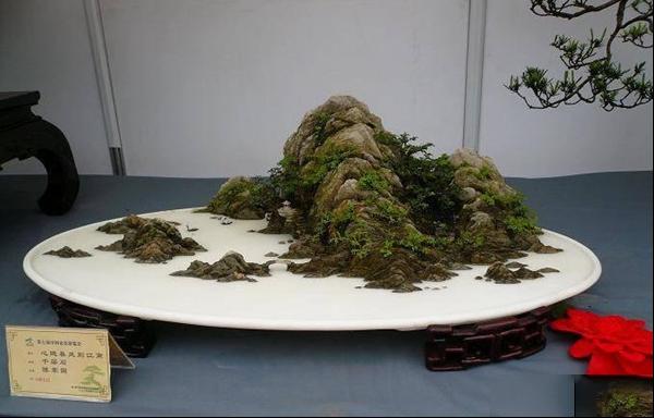 山水盆景如何布局