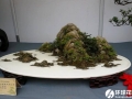 山水盆景如何布局