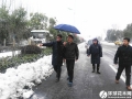 市政府王民生副市长冒雪检查城区除雪保绿工作
