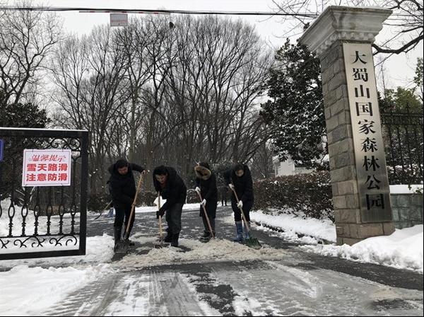 蜀山公园做好除雪应急处置及隐患排查工作