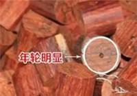 生长轮