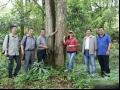安徽省第二次全国重点保护野生植物资源调查通过国家林业和草原局专家组现场查验
