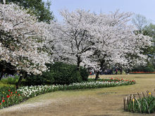 太子湾公园
