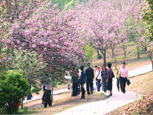 湖南株洲石峰公园