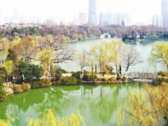 合肥今年计划建成56个小公园小游园