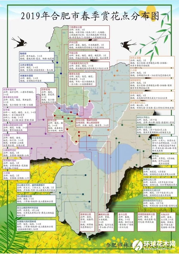 合肥发布2019年春季赏花地图