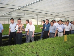 全省林下经济政策与技术培训班参观潜山源潭镇东畈逸品山庄