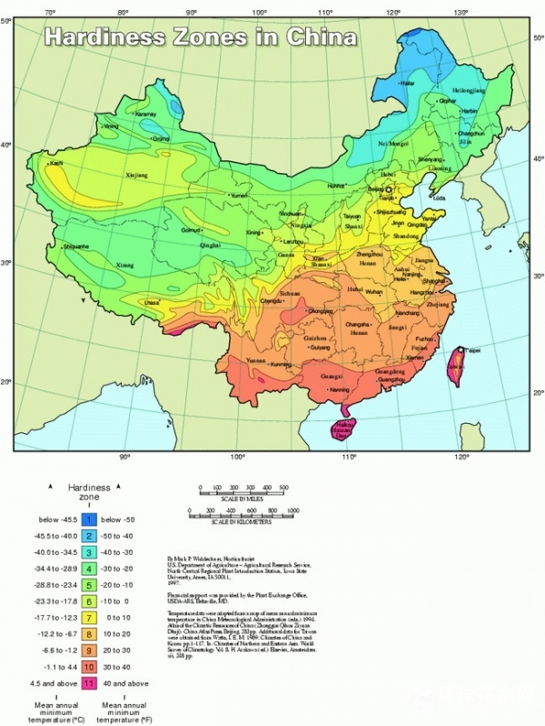 铁线莲的耐寒区域
