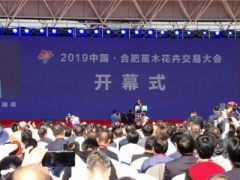 苗会”美丽中国，助力绿色发展—2019 中国·合肥苗木花卉交易大会召开