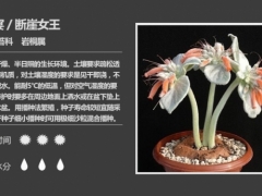 月宴