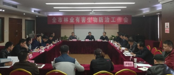 合肥市森防站召开全市2019年林业有害生物防治工作会
