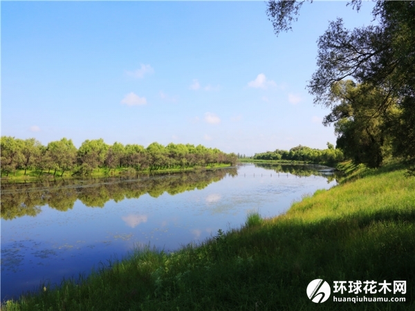 黑龙江太阳岛国家湿地公园