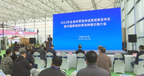 2021年安徽省林草良种选育工作成果公布
