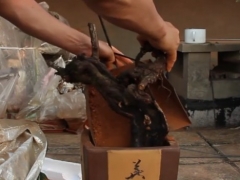 野生蔷薇下山桩怎么栽才能成活