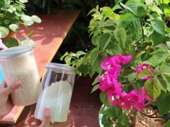 三角梅先控水还是先施肥