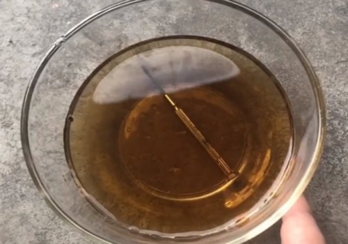 文竹黄叶怎么处理2