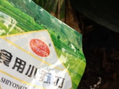 小苏打对种花有什么妙用