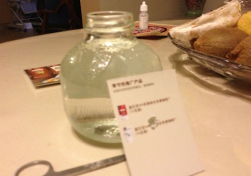 丽格海棠水培方法3