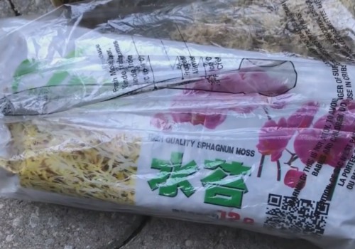 石斛兰怎么养开花效果更好