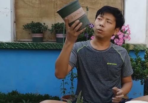 芦荟秋季换盆方法2