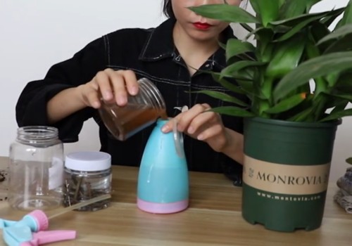 怎样让富贵竹叶子变绿1