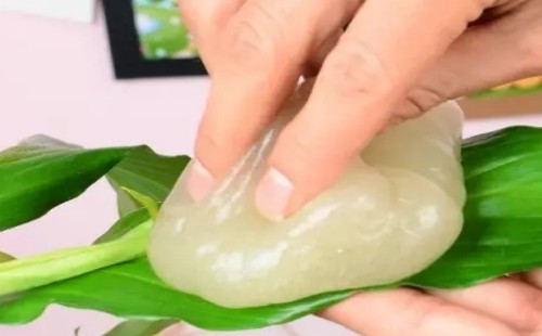 红掌叶子能用啤酒擦拭吗