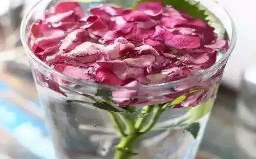 水养绣球花蔫了怎么办2