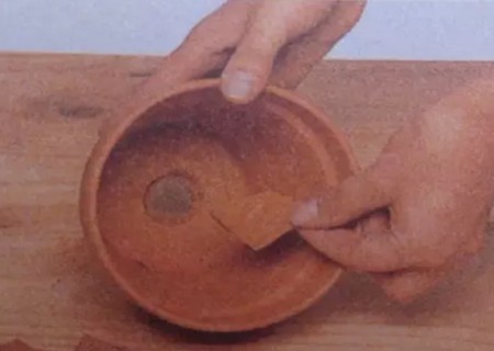 盆栽移植方法2