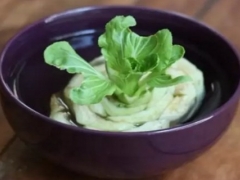 盆栽白菜烂根怎么办