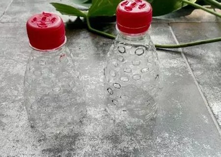 红掌的换盆方法6