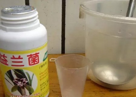 盆栽兰花换盆方法/操作步骤图文教程14