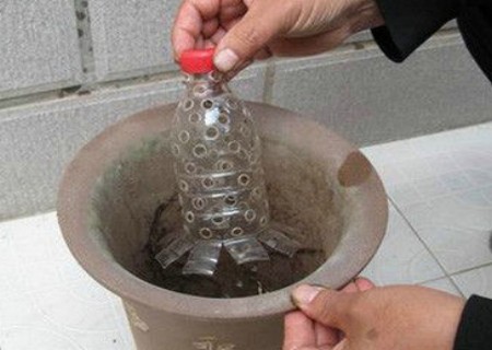 兰花怎么翻盆9