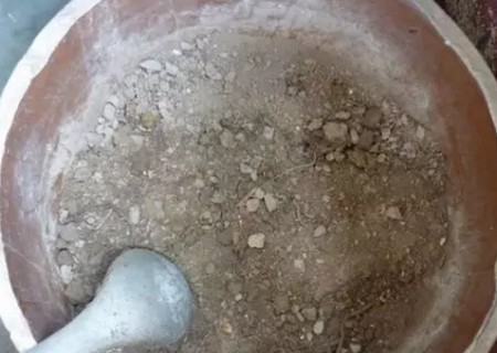 茉莉花怎么换盆3