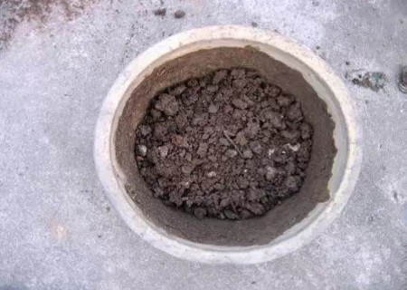 盆花翻盆技术4