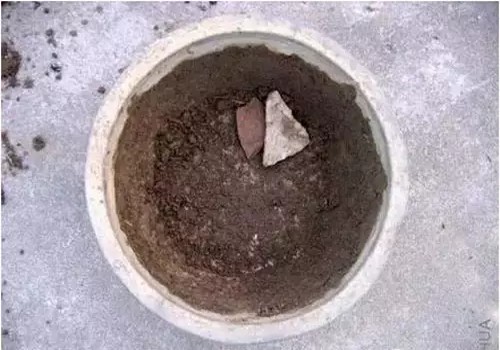 怎么给盆栽翻盆换土6