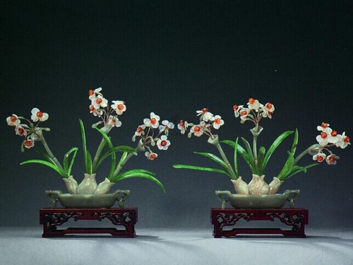 水仙花盆栽图片